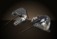 А2 Custom Dual Driver Earphone
